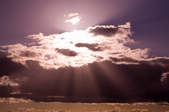 tkf003_390654