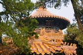 tkf003_398017