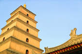 tkf003_398523