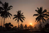 tkf003_406858