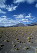 tkf003_421091