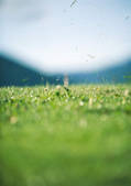 tkf003_422240