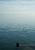 tkf003_440964