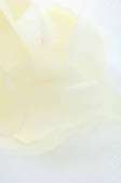 tkf003_446509