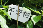 tkf003_447568