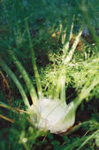 tkf003_450140