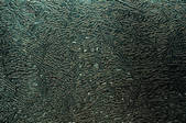 tkf003_455973