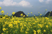 tkf003_476590
