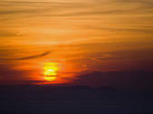 tkf003_508820