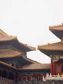 tkf003_511630