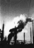 tkf003_519672