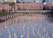 tkf003_525075