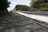 tkf003_525207