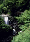 tkf003_525213