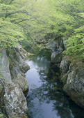 tkf003_525234