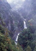 tkf003_525338