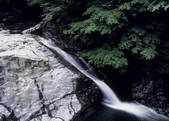 tkf003_525446