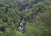 tkf003_525466