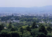 tkf003_525486
