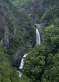 tkf003_525590