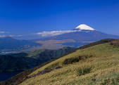tkf003_526338