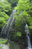 tkf003_526380