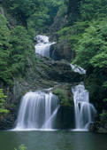 tkf003_526480