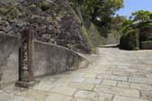 tkf003_526543