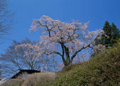 tkf003_527977