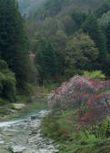 tkf003_527999