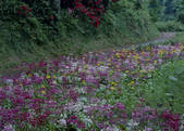 tkf003_528005