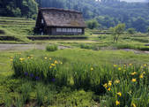 tkf003_528066