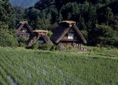 tkf003_528076