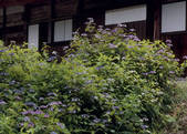 tkf003_528081