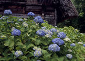 tkf003_528082