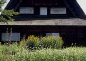 tkf003_528086
