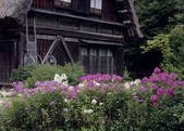 tkf003_528091