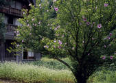 tkf003_528094