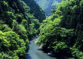 tkf003_529230