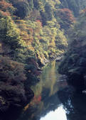 tkf003_529232