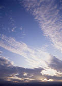 tkf003_529666