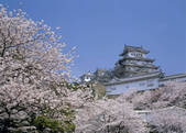 tkf003_529990