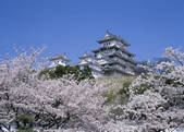 tkf003_529991