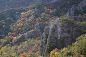 tkf003_533800
