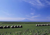tkf003_534469
