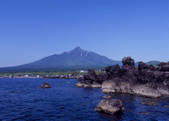 tkf003_534478
