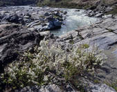 tkf003_534558