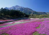 tkf003_534565