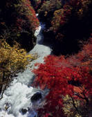 tkf003_534567