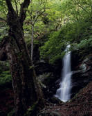 tkf003_534569